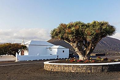 《卧龙：苍天陨落》12月15日凌晨举行直播 公布游戏新情报